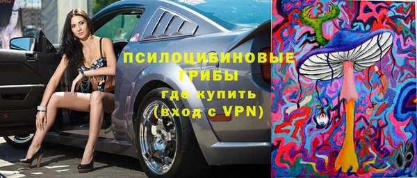 СК Алексеевка