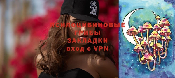 прущая мука Алзамай