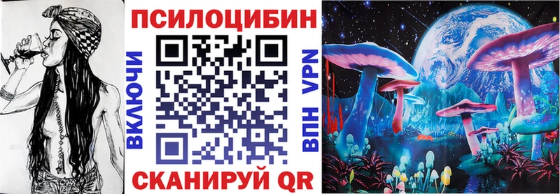 Псилоцибиновые грибы ЛСД  как найти наркотики  omg вход  Данилов 